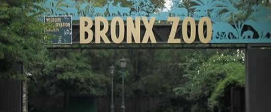 Ota Benga: The Pygmy in the Bronx Zoo